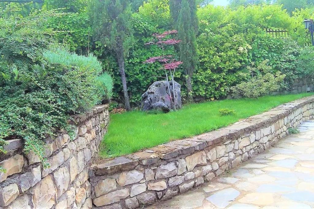 Villa Tethys Mountain Resort Ζάκας Εξωτερικό φωτογραφία