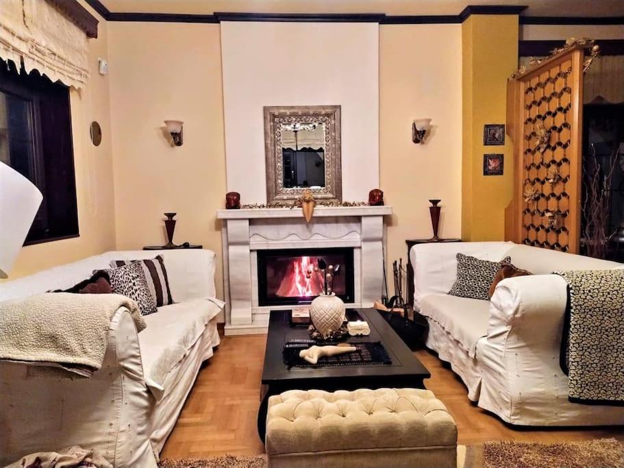 Villa Tethys Mountain Resort Ζάκας Εξωτερικό φωτογραφία