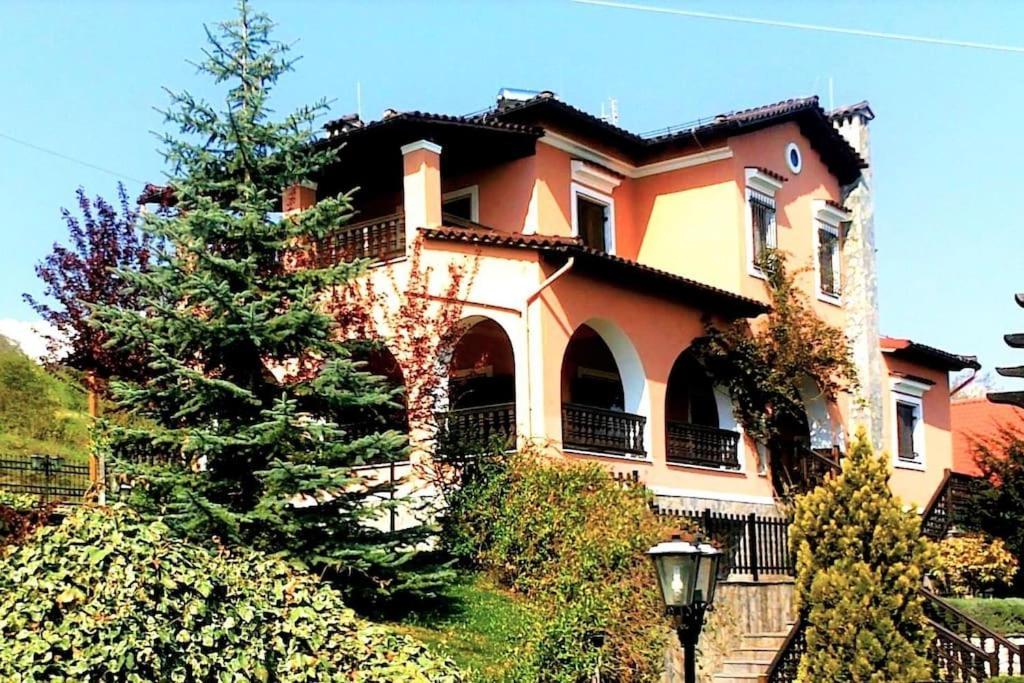 Villa Tethys Mountain Resort Ζάκας Εξωτερικό φωτογραφία