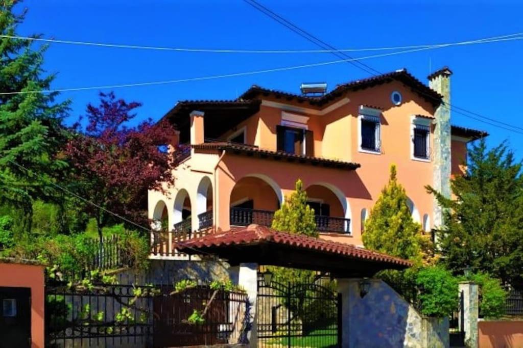 Villa Tethys Mountain Resort Ζάκας Εξωτερικό φωτογραφία