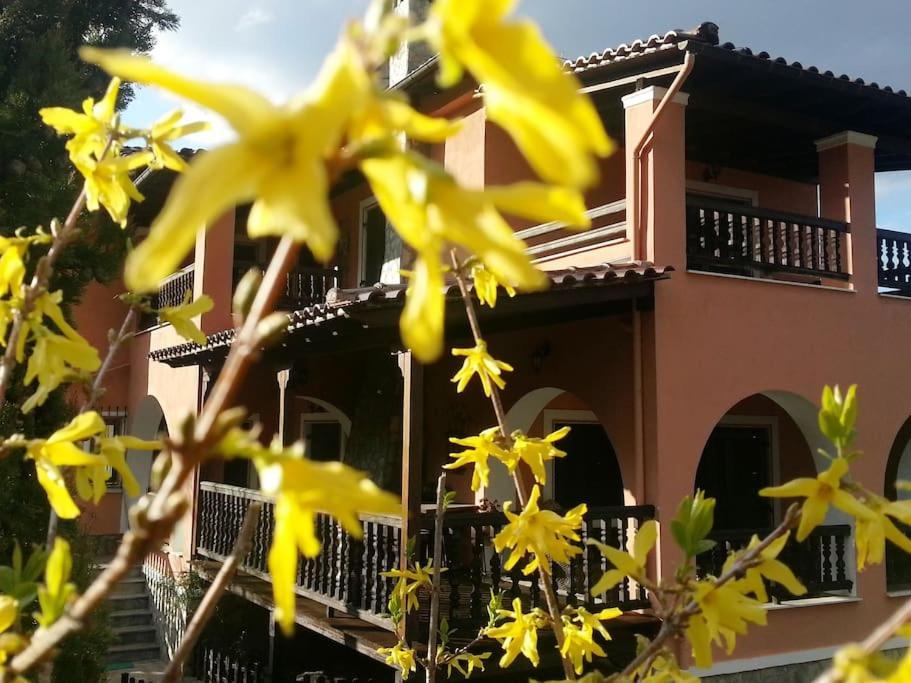 Villa Tethys Mountain Resort Ζάκας Εξωτερικό φωτογραφία