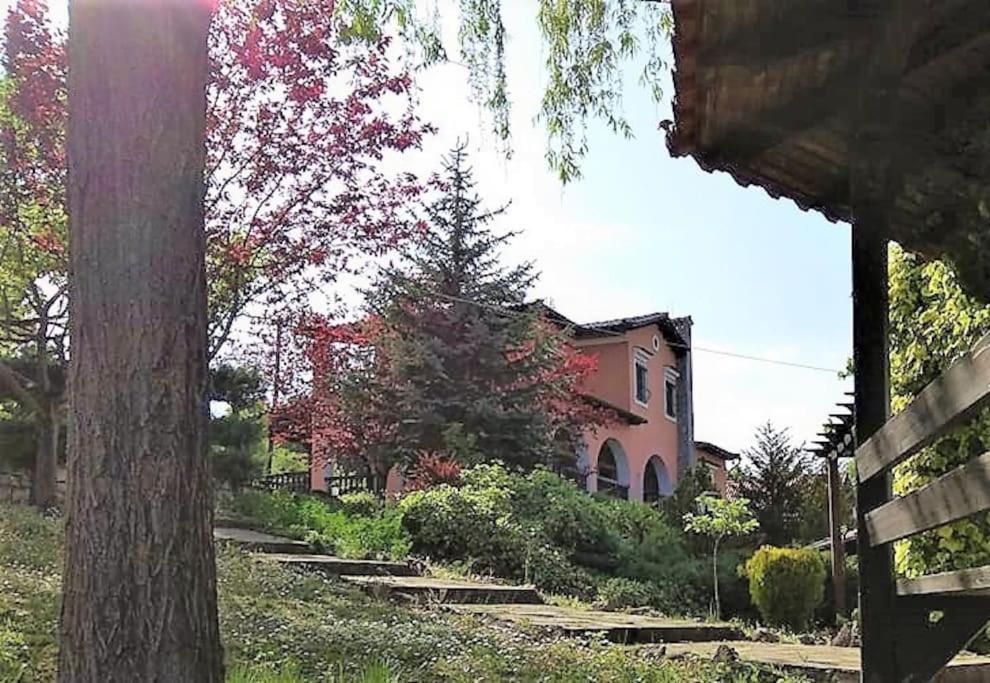Villa Tethys Mountain Resort Ζάκας Εξωτερικό φωτογραφία