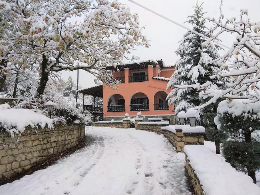 Villa Tethys Mountain Resort Ζάκας Εξωτερικό φωτογραφία